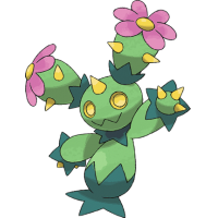 Maractus